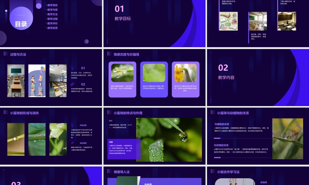 苏教版三上《小露珠》课件