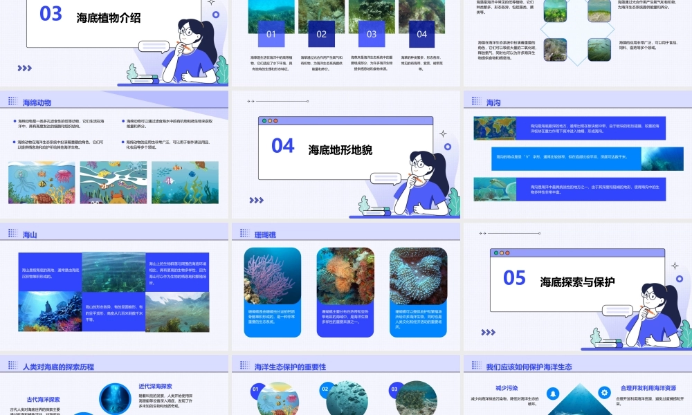 苏教版三下海底世界课件