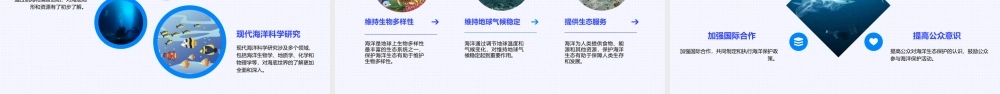 苏教版三下海底世界课件