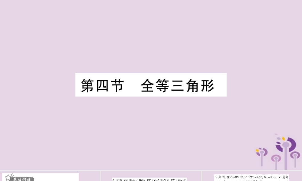 中考数学复习 第一轮 考点系统复习 第4章 三角形 第4节 全等三角形习题课件