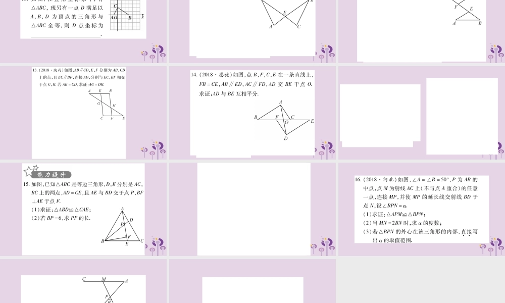 中考数学复习 第一轮 考点系统复习 第4章 三角形 第4节 全等三角形习题课件