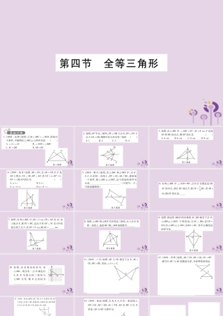 中考数学复习 第一轮 考点系统复习 第4章 三角形 第4节 全等三角形习题课件