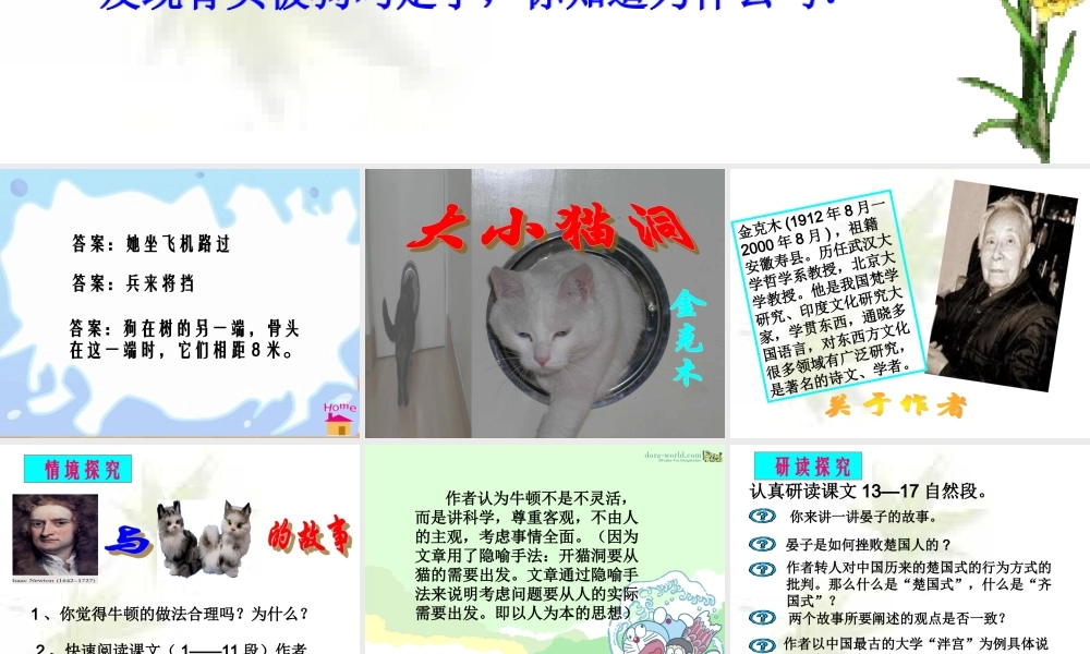 九年级语文上册大小猫洞课件1 课件