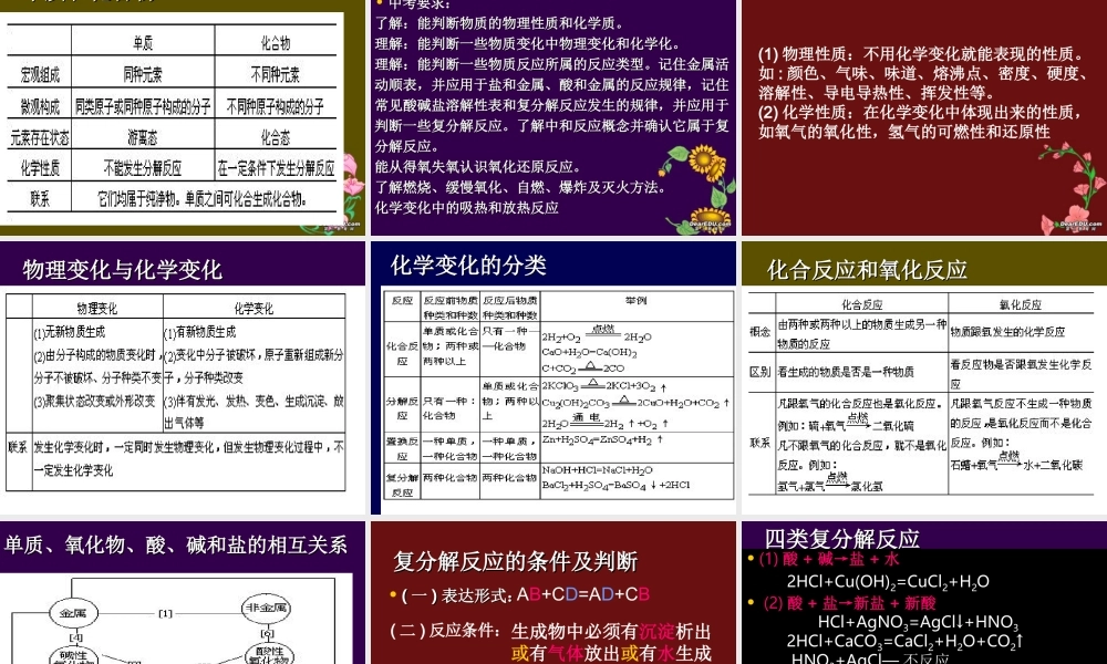 初中化学基本概念总复习课件 粤教版 课件