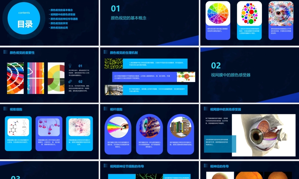 节颜色视觉的生理知识课件