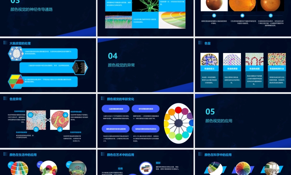 节颜色视觉的生理知识课件