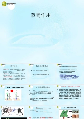 七年级生物上册 5.4 植物的蒸腾作用课件 北师大版 课件