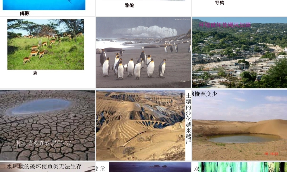 七年级生物上：第一单元第三章第一节 生物圈与栖息地课件(济南版) 课件