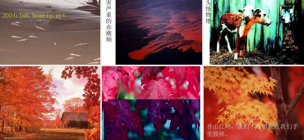 七年级生物上：第一单元第三章第一节 生物圈与栖息地课件(济南版) 课件