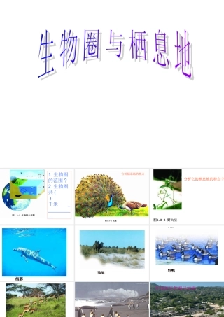 七年级生物上：第一单元第三章第一节 生物圈与栖息地课件(济南版) 课件