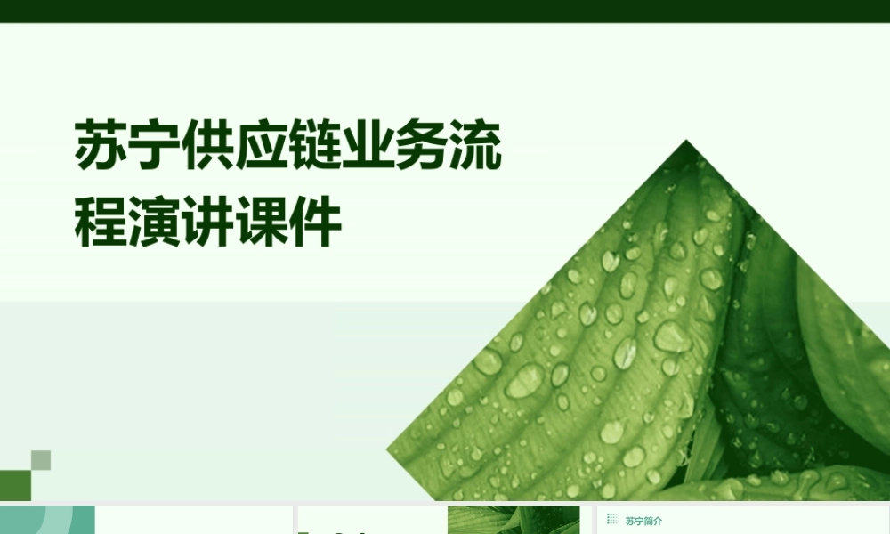 苏宁供应链业务流程演讲课件