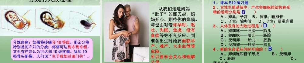 中学七年级生物下册 人的生殖课件 新人教版 课件