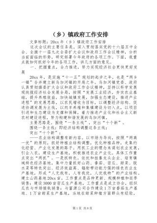 （乡）镇政府工作安排