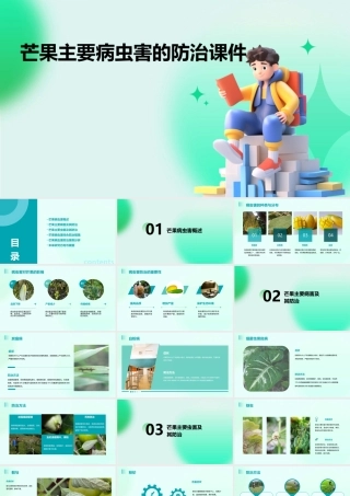 芒果主要病虫害的防治课件
