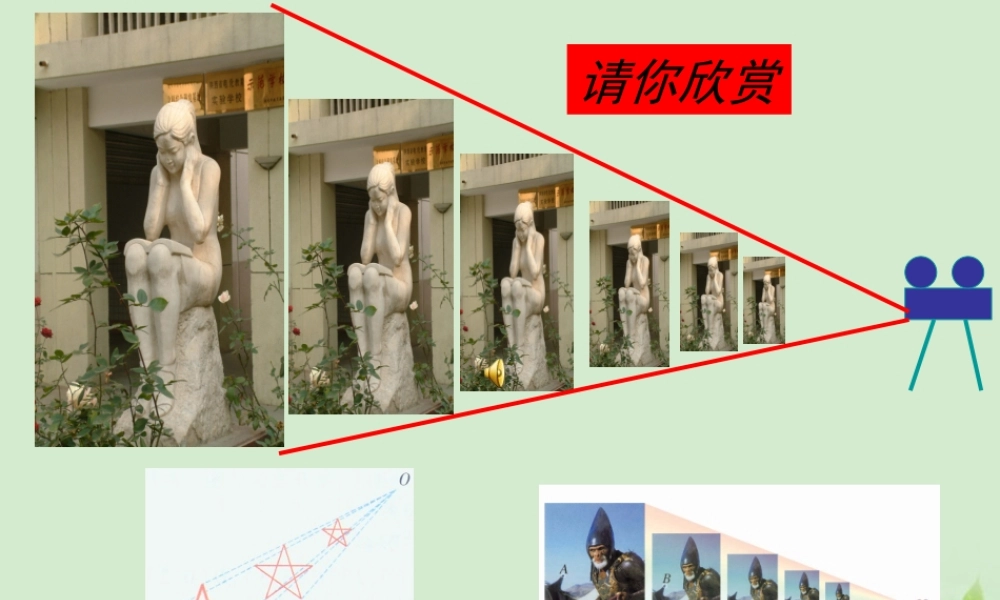 九年级数学(位似)课件  课件