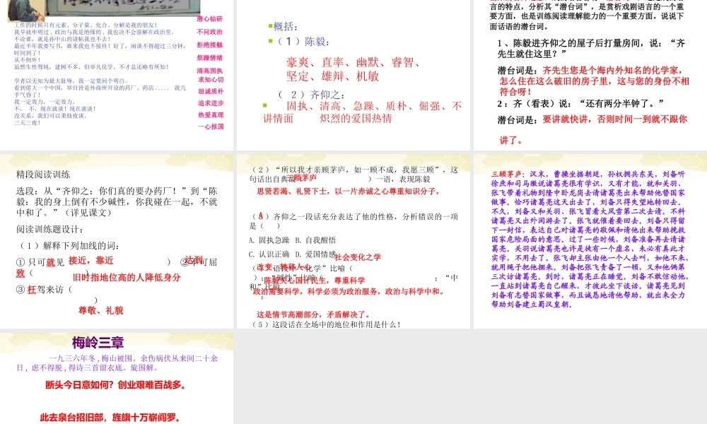九年级语文下册 第3课(陈毅市长选场)课件 苏教版 课件