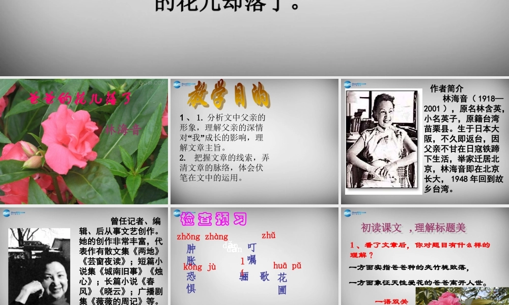中学七年级语文下册(第2课 爸爸的花儿落了)课件 新人教版 课件