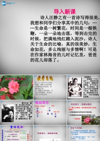 中学七年级语文下册(第2课 爸爸的花儿落了)课件 新人教版 课件