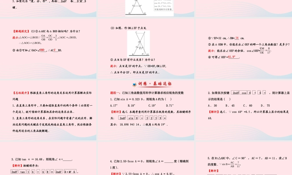 九年级数学下册 第一章直角三角形的边角关系 3 三角函数的有关计算第2课时习题课件 北师大版 课件