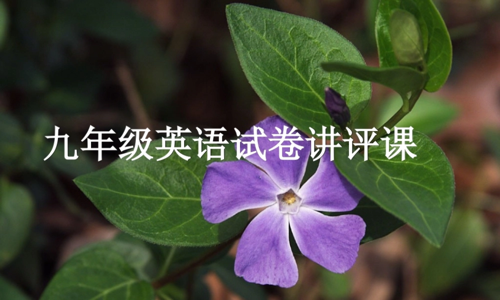 九年级英语 讲评课课件