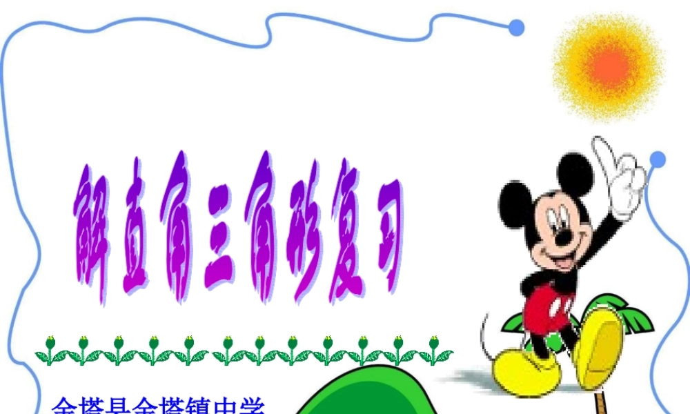 初三数学解直角三角形的应用复习课件 华师版 课件