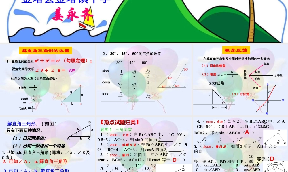 初三数学解直角三角形的应用复习课件 华师版 课件