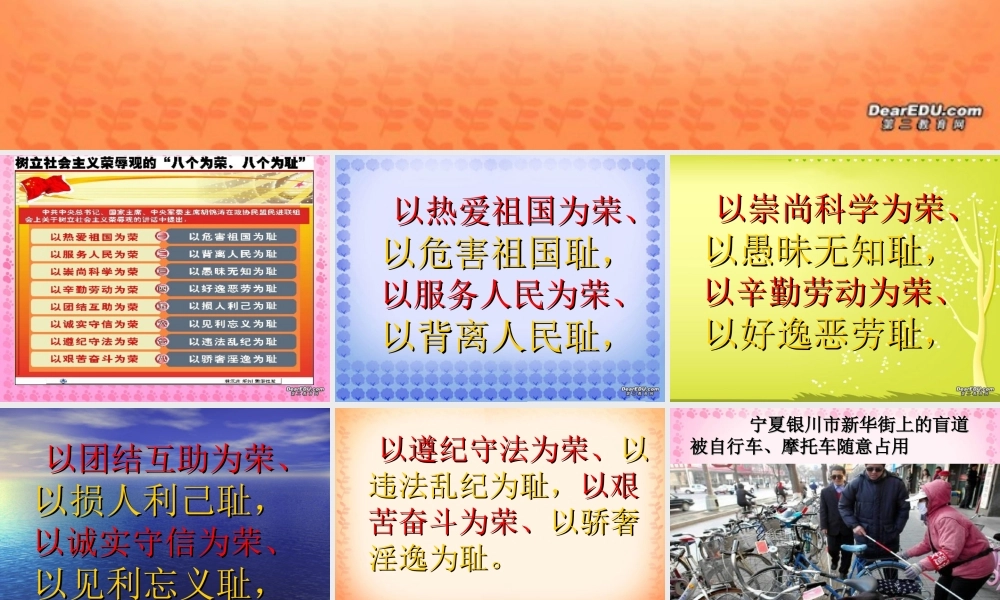 初三政治八荣八耻 人教版 课件