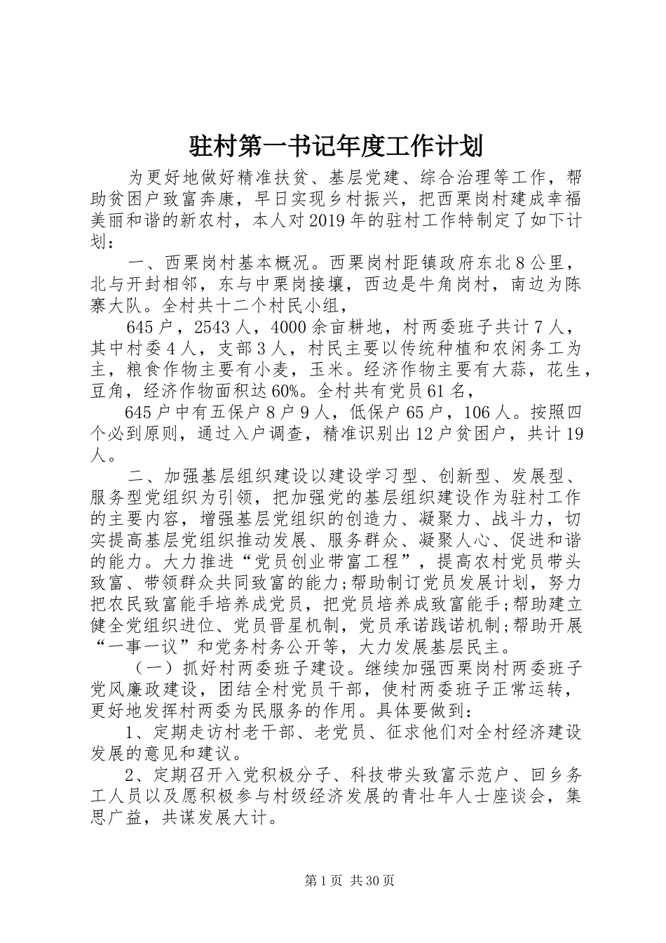 驻村第一书记年度工作计划_第1页