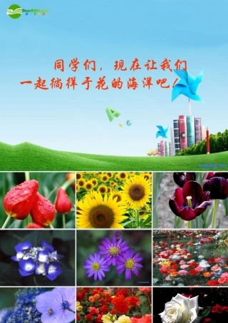 八年级语文上册(送你一束转基因花)优秀实用课件 苏教版 课件