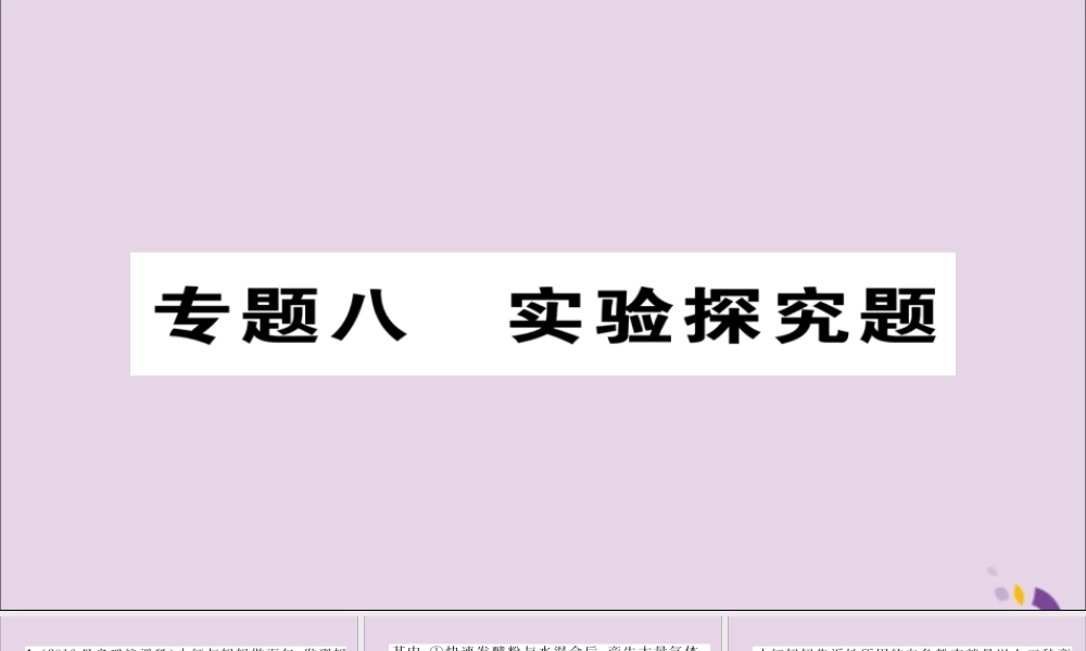 中考化学复习 第二编 重点题型突破篇 专题8 实验探究题(精练)课件