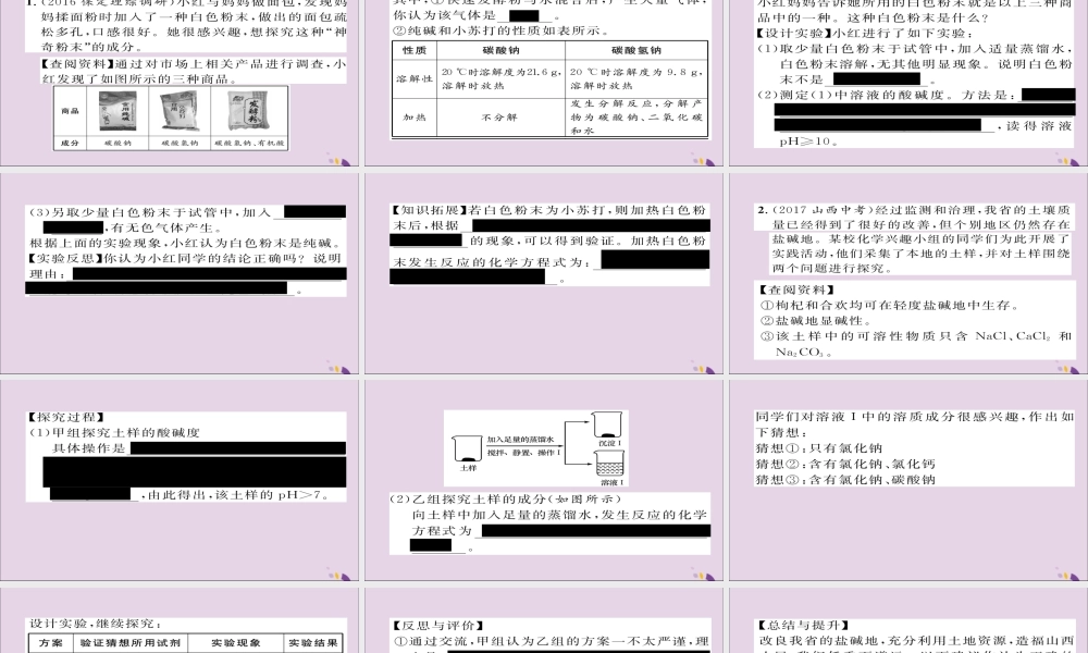 中考化学复习 第二编 重点题型突破篇 专题8 实验探究题(精练)课件