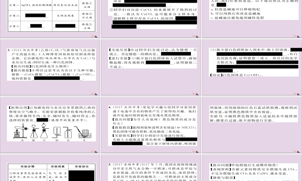 中考化学复习 第二编 重点题型突破篇 专题8 实验探究题(精练)课件