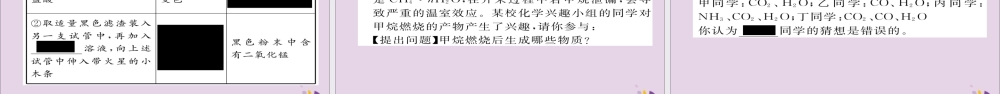 中考化学复习 第二编 重点题型突破篇 专题8 实验探究题(精练)课件