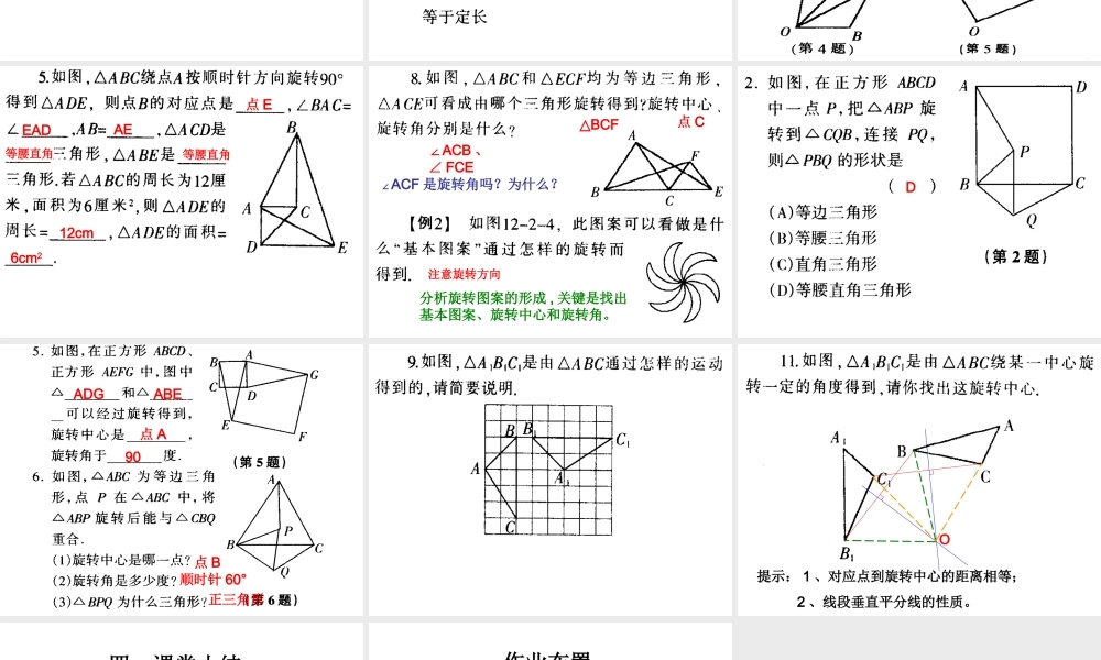 八年级数学旋转的特征课件 华师版 课件