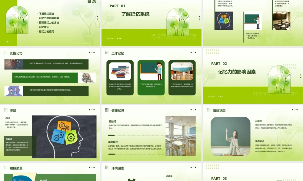 良好记忆力的培养课件