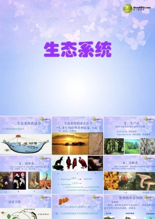 中学七年级生物上册 1.2.4 生态系统课件2 新人教版 课件