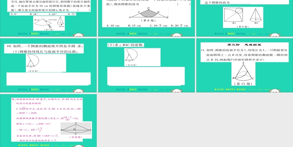 九年级数学下册 第27章(圆)273 圆中的计算问题(二)习题课件 (新版)华东师大版 课件