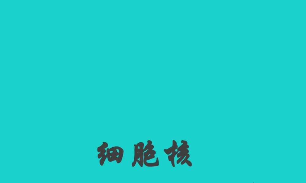 八年级生物上册 第四单元 第四章 第一节 遗传的物质基础 细胞核——细胞的控制中心课件 (新版)济南版 课件
