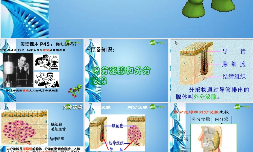 八年级生物 第一学期(试验本)第2章第三节 激素 激素有什么作用课件 上海版 课件