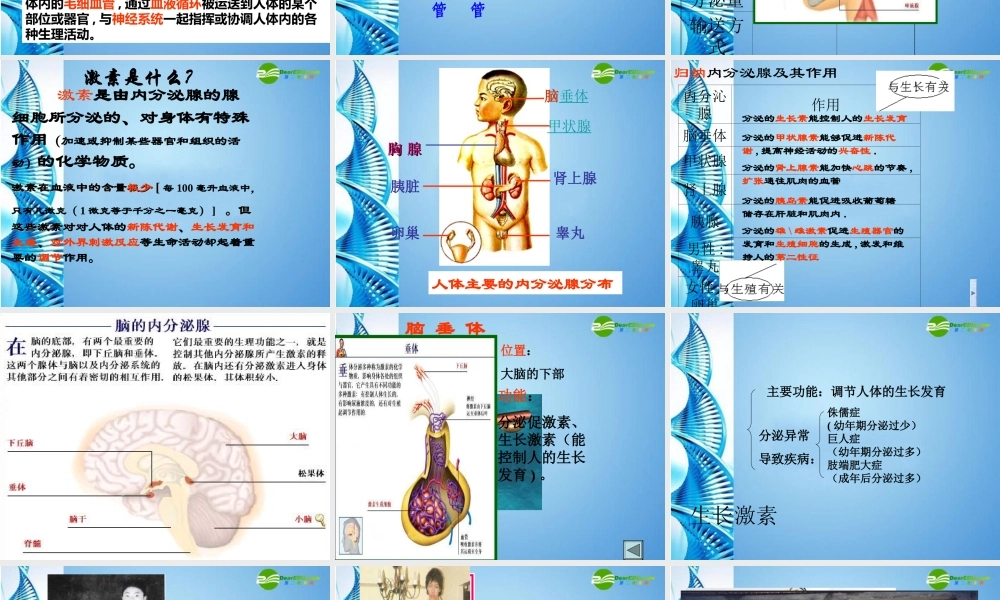 八年级生物 第一学期(试验本)第2章第三节 激素 激素有什么作用课件 上海版 课件