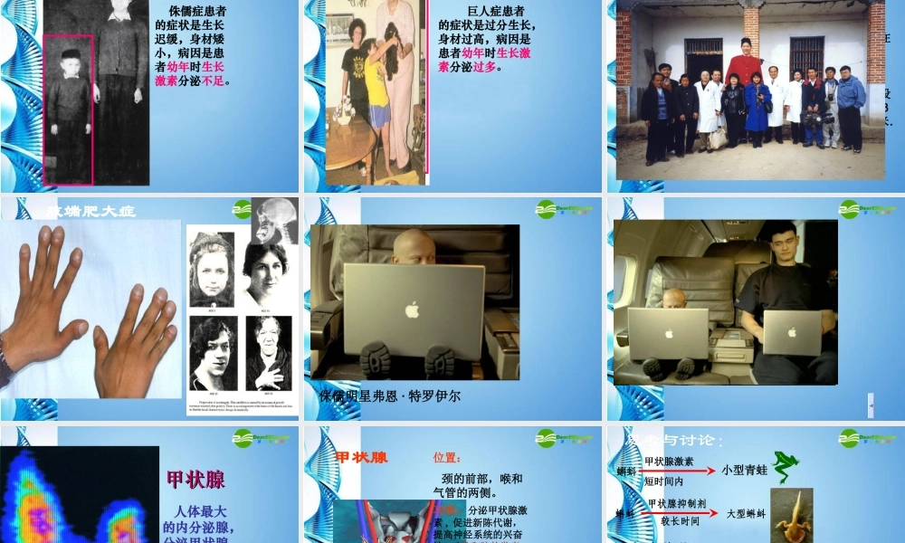 八年级生物 第一学期(试验本)第2章第三节 激素 激素有什么作用课件 上海版 课件