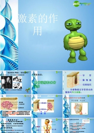 八年级生物 第一学期(试验本)第2章第三节 激素 激素有什么作用课件 上海版 课件