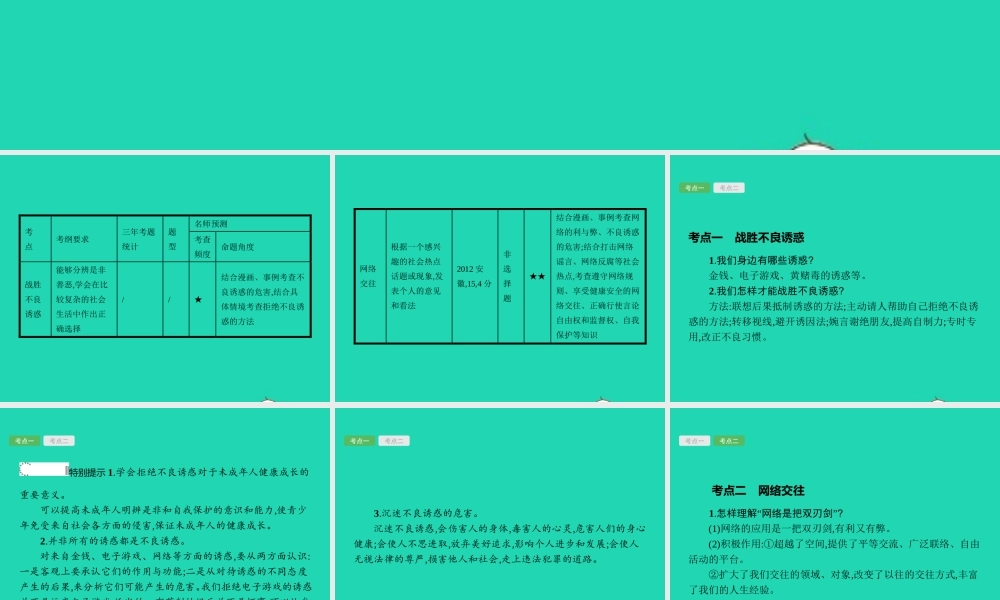 中考政治 第一编 基础篇 第三部分 我与国家和社会 第14讲 不良诱惑 网络交往课件