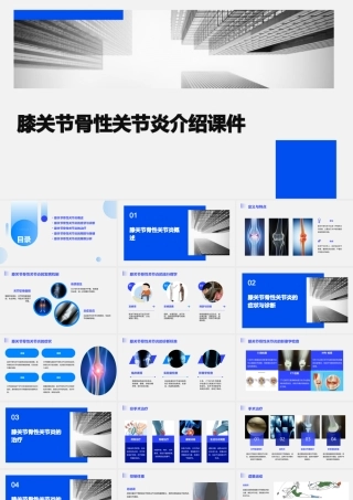 膝关节骨性关节炎介绍课件