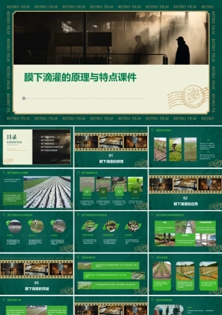 膜下滴灌的原理与特点课件