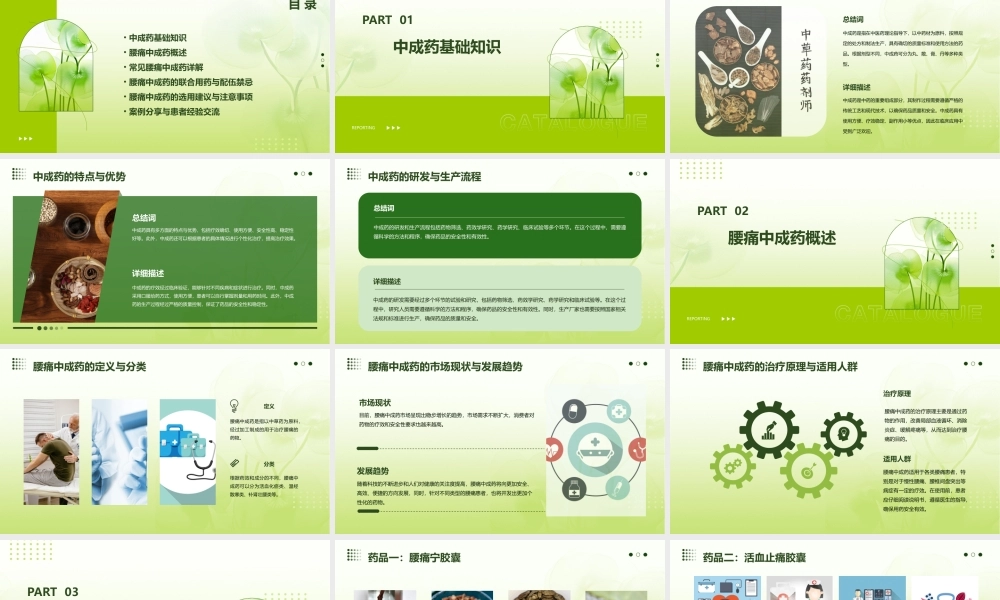 腰痛中成药详解课件