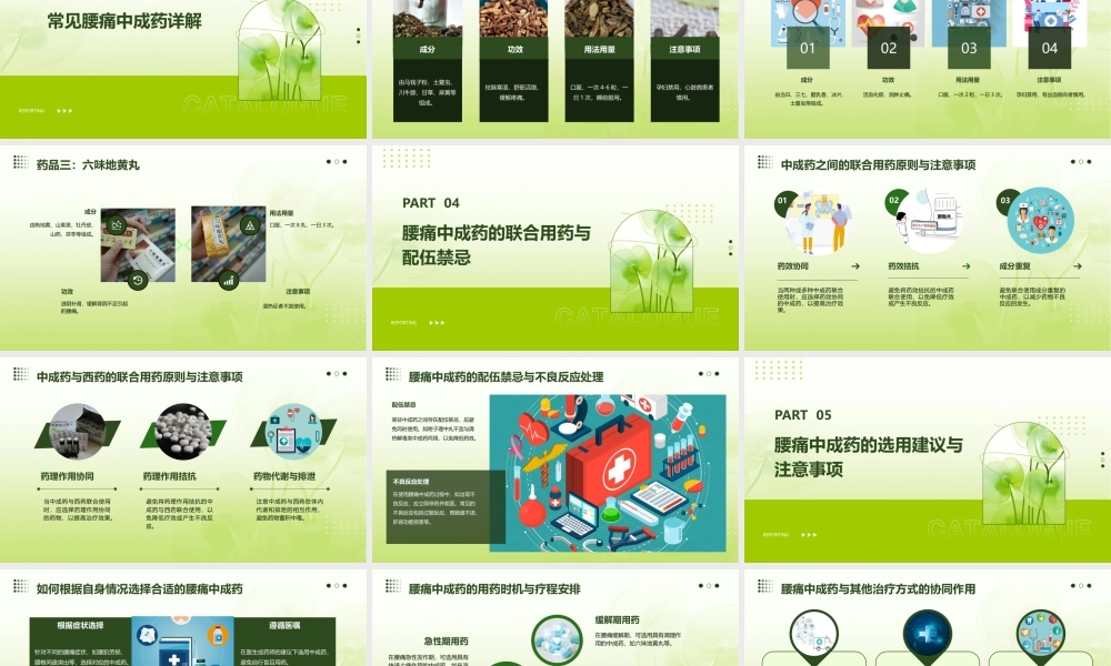 腰痛中成药详解课件