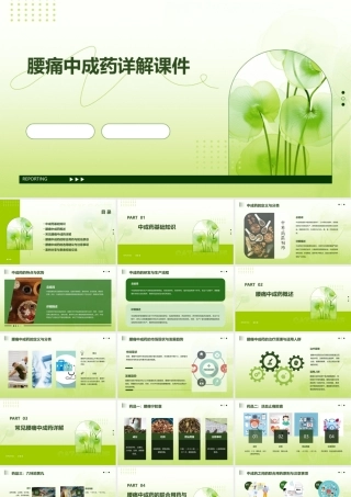 腰痛中成药详解课件