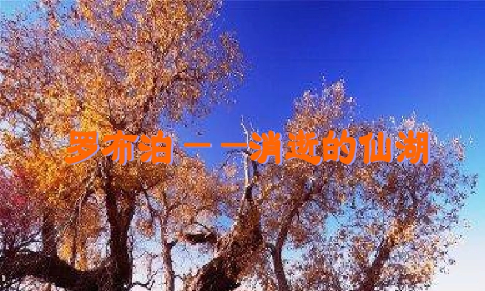 中学七年级语文上册 布泊，消逝的仙湖课件 鲁教版五四制 课件