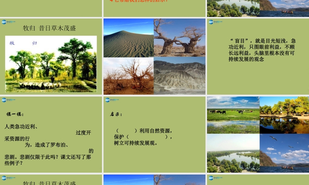 中学七年级语文上册 布泊，消逝的仙湖课件 鲁教版五四制 课件